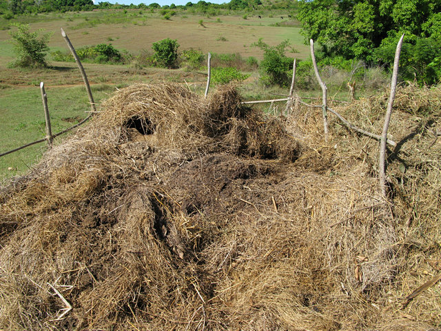 Compostaggio_001.JPG (177704 byte)